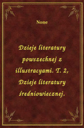 Okładka: Dzieje literatury powszechnej z illustracyami. T. 2, Dzieje literatury średniowiecznej.