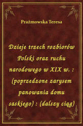 Okładka: Dzieje trzech rozbiorów Polski oraz ruchu narodowego w XIX w. : (poprzedzone zarysem panowania domu saskiego) : (dalszy ciąg)