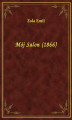 Okładka książki: Mój Salon (1866)