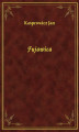 Okładka książki: Fujawica