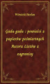 Okładka książki: Gadu-gadu : powieści z papierów pośmiertnych Autora Listów z zagranicy