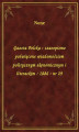 Okładka książki: Gazeta Polska : czasopismo poświęcone wiadomościom politycznym ekonomicznym i literackim : 1886 : nr 29