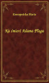 Okładka książki: Na śmierć Adama Pługa