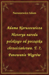 Okładka: Adama Naruszewicza Historya narodu polskiego od początku chrześciaństwa. T. 7, Panowanie Węgrów