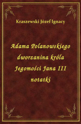 Okładka: Adama Polanowskiego dworzanina króla Jegomości Jana III notatki