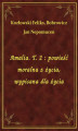 Okładka książki: Amalia. T. 2 : powieść moralna z życia, wypisana dla życia