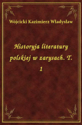Okładka: Historyja literatury polskiej w zarysach. T. 1