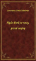 Okładka książki: Hyde-Park w nocy, przed wojną