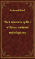 Okładka książki: Broń sieczna w ogóle i w Polsce, uważana archeologicznie