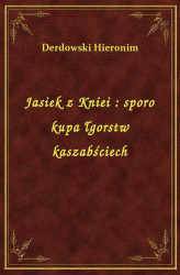 Okładka: Jasiek z Kniei : sporo kupa łgorstw kaszabściech