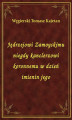Okładka książki: Jędrzejowi Zamoyskimu niegdy kanclerzowi koronnemu w dzień imienin jego