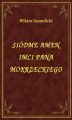 Okładka książki: Siódme Amen Imci Pana Mokrzeckiego
