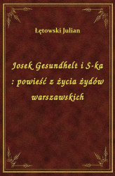 Okładka: Josek Gesundhelt i S-ka : powieść z życia żydów warszawskich