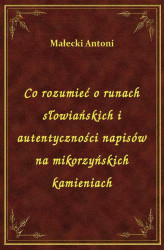 Okładka: Co rozumieć o runach słowiańskich i autentyczności napisów na mikorzyńskich kamieniach