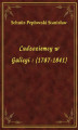 Okładka książki: Cudzoziemcy w Galicyi : (1787-1841)