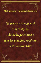 Okładka: Krytyczne uwagi nad rozprawą kś. Choińskiego Słowo o języku polskim, wydaną w Poznaniu 1870