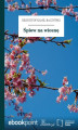 Okładka książki: Śpiew na wiosnę