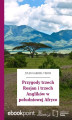Okładka książki: Przygody trzech Rosjan i trzech Anglików w południowej Afryce
