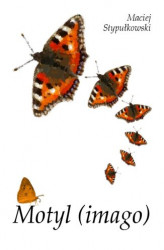 Okładka: Motyl (imago)