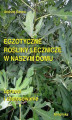 Okładka książki: Egzotyczne rośliny lecznicze w naszym domu