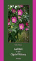 Okładka książki: Gulistan, to jest ogród różany