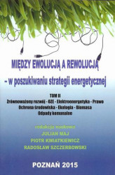 Okładka: Między ewolucją a rewolucją - w poszukiwaniu strategii energetycznej Tom 2