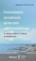 Okładka książki: Determinanty zarządzania społecznie odpowiedzialnego w sektorze małych i średnich przdsiębiorstw