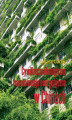 Okładka książki: Cywilizacja ekologiczna i transformacja energetyczna w Chinach