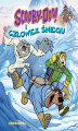 Okładka książki: Scooby-Doo! I Człowiek Śniegu