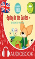 Okładka książki: Spring in the garden. The Adventures of Fenek