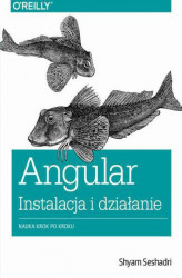 Okładka: Angular instalacja i działanie