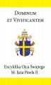 Okładka książki: Encyklika Ojca Świętego Jana Pawła II DOMINUM ET VIVIFICANTEM