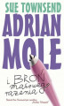 Okładka książki: Adrian Mole i broń masowego rażenia