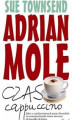 Okładka książki: Adrian Mole. Czas cappuccino