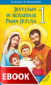 Okładka książki: Jesteśmy w rodzinie pana Jezusa - poradnik metodyczny
