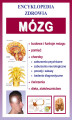 Okładka książki: Mózg. Encyklopedia zdrowia