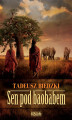 Okładka książki: Sen pod baobabem