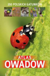 Okładka: Atlas owadów. 250 polskich gatunków