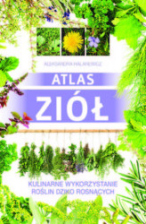 Okładka: Atlas ziół. Kulinarne wykorzystanie roślin dziko rosnących