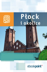 Okładka: Płock i okolice. Miniprzewodnik