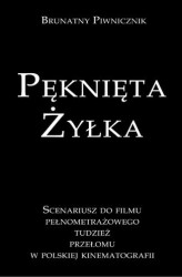 Okładka: Pęknięta Żyłka Scenariusz do filmu pełnometrażowego tudzież przełomu w polskiej kinematografii