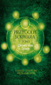 Okładka książki: Przygody Borwara. Tom I. Potomek klanu Atlantis