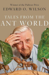 Okładka: Opowieści ze świata mrówek