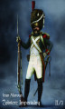 Okładka książki: Żołnierz Imperialny 1800-1814 Tom II/1