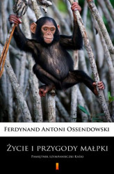 Okładka: Życie i przygody małpki. Pamiętnik szympansiczki Kaśki