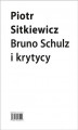 Okładka książki: Bruno Schulz i krytycy