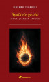 Okładka książki: Spalanie gazów. Teoria, praktyka, ekologia