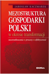 Okładka: Mezostruktura gospodarki Polski w okresie transformacji. Uwarunkowania, procesy, efektywność