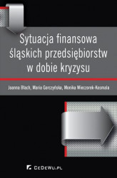 Okładka: Sytuacja finansowa śląskich przedsiębiorstw w dobie kryzysu