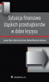Okładka książki: Sytuacja finansowa śląskich przedsiębiorstw w dobie kryzysu